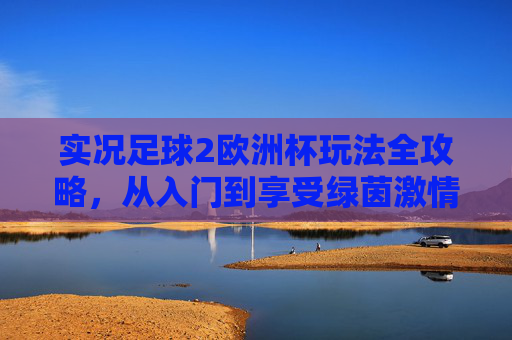 实况足球2欧洲杯玩法全攻略，从入门到享受绿茵激情，实况足球2欧洲杯全攻略，从入门到畅享绿茵激情