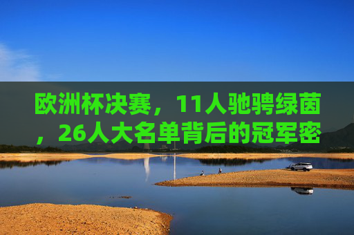 欧洲杯决赛，11人驰骋绿茵，26人大名单背后的冠军密码，欧洲杯决赛，11人驰骋绿茵，26人名单背后的冠军密码