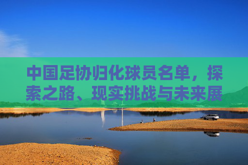 中国足协归化球员名单，探索之路、现实挑战与未来展望，中国足协归化球员名单，探索之路、现实挑战与未来展望