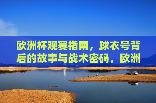 欧洲杯观赛指南,球衣号背后的故事与战术密码,欧洲杯观赛指南,球衣号背后的故事与战术密码