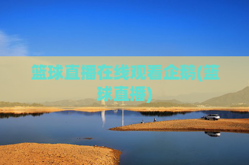 篮球直播在线观看企鹅(篮球直播)