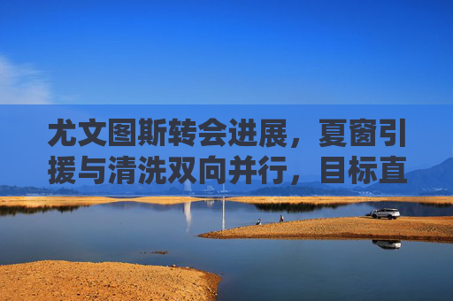 尤文图斯转会进展，夏窗引援与清洗双向并行，目标直指阵容优化，尤文图斯夏窗转会，引援清洗双向并行，目标阵容优化