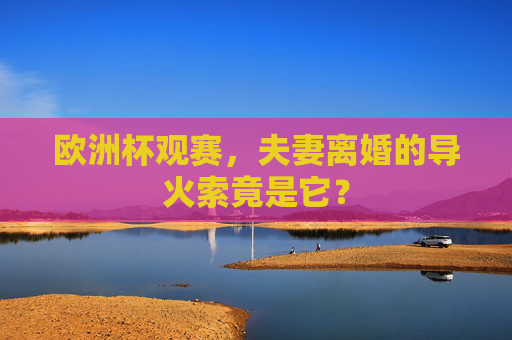 欧洲杯观赛,夫妻离婚的导火索竟是它?