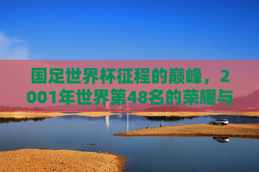 国足世界杯征程的巅峰,2001年世界第48名的荣耀与回响,国足巅峰时刻,2001年世界第48名的荣耀回响