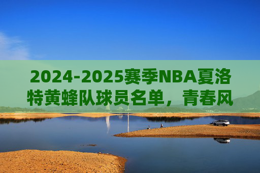 2024-2025赛季NBA夏洛特黄蜂队球员名单,青春风暴再起,核心阵容深度解析,2024-2025赛季NBA夏洛特黄蜂队,青春风暴下的核心阵容深度解析