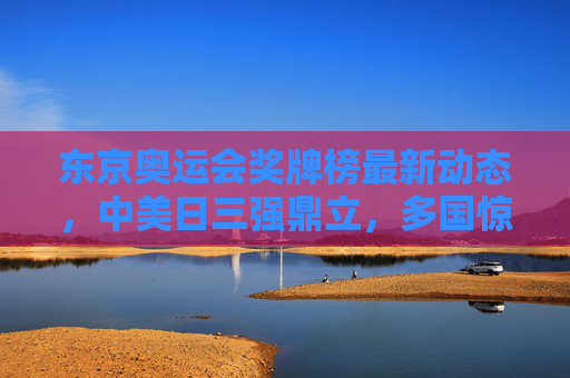 东京奥运会奖牌榜最新动态,中美日三强鼎立,多国惊喜突围,体育精神闪耀赛场