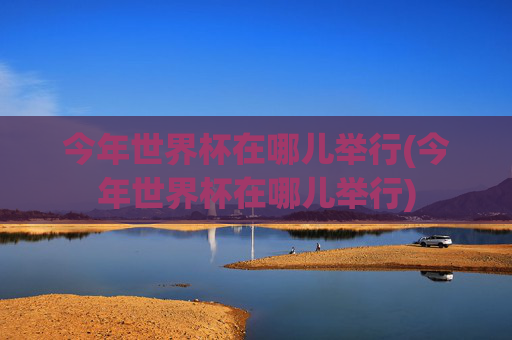 今年世界杯在哪儿举行(今年世界杯在哪儿举行)