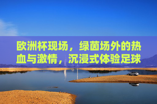 欧洲杯现场，绿茵场外的热血与激情，沉浸式体验足球的魅力，欧洲杯现场，绿茵场外热血沉浸，足球魅力直击