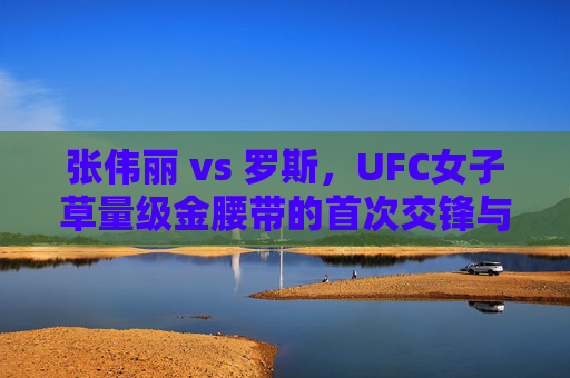 张伟丽 vs 罗斯,UFC女子草量级金腰带的首次交锋与传奇序章,张伟丽vs罗斯,UFC女子草量级金腰带首次交锋,传奇序章