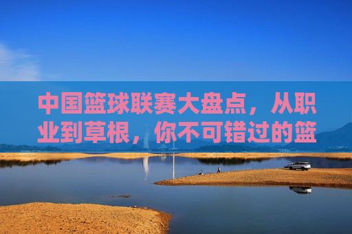 中国篮球联赛大盘点,从职业到草根,你不可错过的篮球盛宴,中国篮球联赛全景盘点,从职业到草根的篮球盛宴
