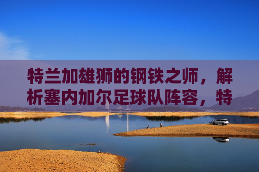 特兰加雄狮的钢铁之师,解析塞内加尔足球队阵容,特兰加雄狮钢铁之师,塞内加尔足球队阵容解析
