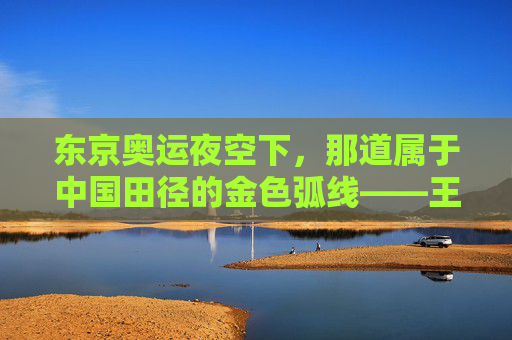 东京奥运夜空下,那道属于中国田径的金色弧线——王嘉男男子跳远决赛夺金记,东京奥运王嘉男男子跳远夺金,金色弧线闪耀赛场