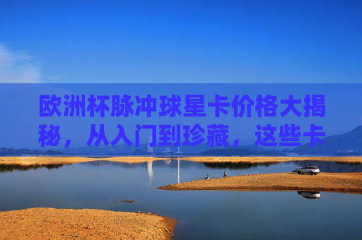欧洲杯脉冲球星卡价格大揭秘，从入门到珍藏，这些卡值多少钱？欧洲杯脉冲球星卡价格指南，从入门到珍藏，值多少？