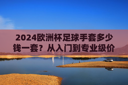 2024欧洲杯足球手套多少钱一套?从入门到专业级价格全解析+选购指南,2024欧洲杯足球手套价格全解析,从入门到专业级选购指南