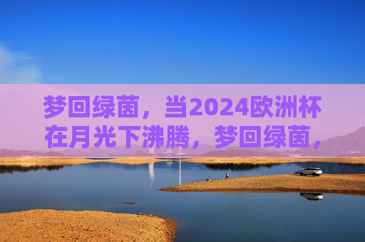 梦回绿茵,当2024欧洲杯在月光下沸腾,梦回绿茵,2024欧洲杯月下沸腾
