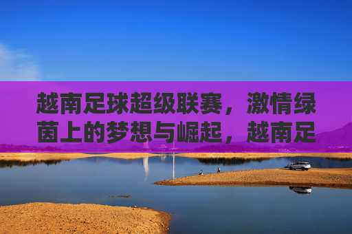 越南足球超级联赛，激情绿茵上的梦想与崛起，越南足球超级联赛，激情绿茵的梦想与崛起