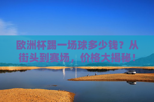欧洲杯踢一场球多少钱？从街头到赛场，价格大揭秘！欧洲杯踢球多少钱？街头到赛场价格大揭秘！