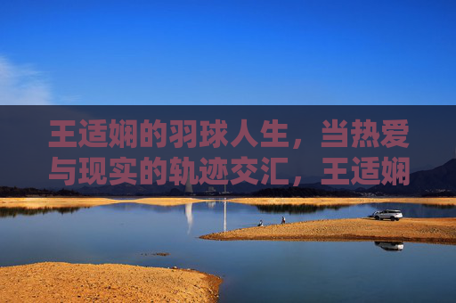 王适娴的羽球人生,当热爱与现实的轨迹交汇,王适娴羽球人生,热爱与现实的轨迹交汇