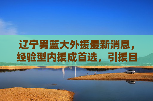 辽宁男篮大外援最新消息,经验型内援成首选,引援目标锁定欧洲联赛,辽宁男篮大外援引援,经验型内线成首选,目标锁定欧洲联赛