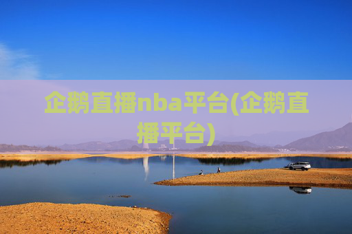 企鹅直播nba平台(企鹅直播平台)