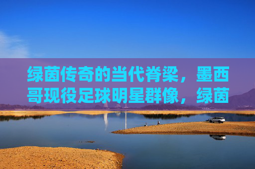 绿茵传奇的当代脊梁,墨西哥现役足球明星群像,绿茵传奇的当代脊梁,墨西哥现役足球明星群像