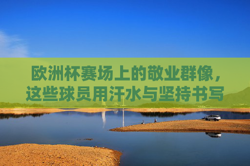 欧洲杯赛场上的敬业群像，这些球员用汗水与坚持书写职业传奇，欧洲杯敬业群像，汗水铸就职业传奇