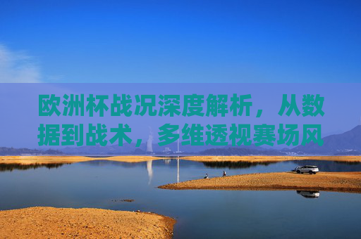 欧洲杯战况深度解析，从数据到战术，多维透视赛场风云，欧洲杯深度解析，数据战术多维透视赛场风云