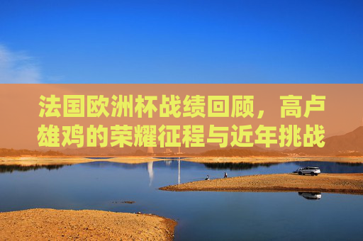 法国欧洲杯战绩回顾，高卢雄鸡的荣耀征程与近年挑战，高卢雄鸡欧洲杯征程，荣耀回顾与近年挑战