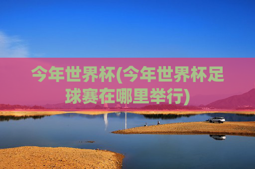 今年世界杯(今年世界杯足球赛在哪里举行)