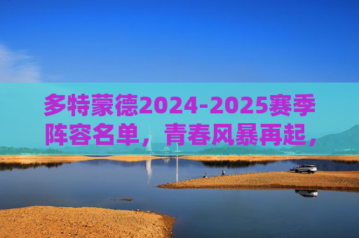 多特蒙德2024-2025赛季阵容名单,青春风暴再起,黄黑军团剑指德甲巅峰,多特蒙德2024-25赛季,青春风暴再起,黄黑军团剑指德甲巅峰