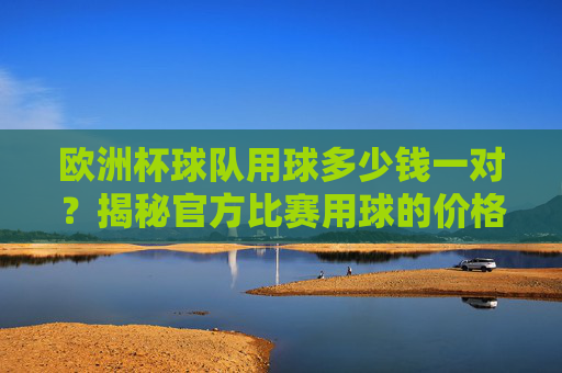 欧洲杯球队用球多少钱一对?揭秘官方比赛用球的价格与背后故事