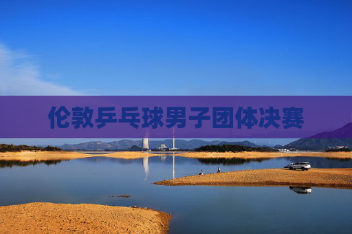 伦敦乒乓球男子团体决赛