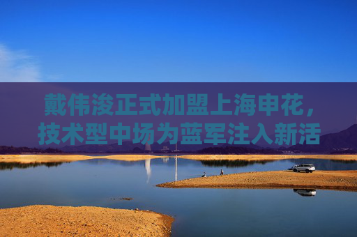 戴伟浚正式加盟上海申花，技术型中场为蓝军注入新活力，戴伟浚加盟上海申花 技术型中场为蓝军注入新活力