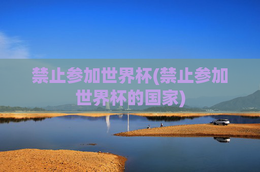 禁止参加世界杯(禁止参加世界杯的国家)
