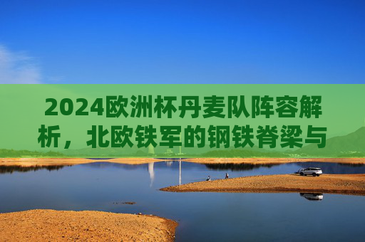 2024欧洲杯丹麦队阵容解析，北欧铁军的钢铁脊梁与战术核心，2024欧洲杯丹麦队阵容解析，北欧铁军的钢铁脊梁与战术核心