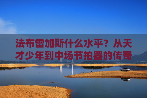法布雷加斯什么水平?从天才少年到中场节拍器的传奇之路,法布雷加斯,从天才少年到中场节拍器的传奇之路