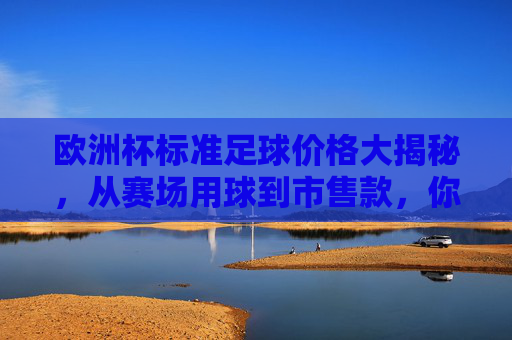 欧洲杯标准足球价格大揭秘,从赛场用球到市售款,你了解多少?欧洲杯足球价格大揭秘,从赛场用球到市售款