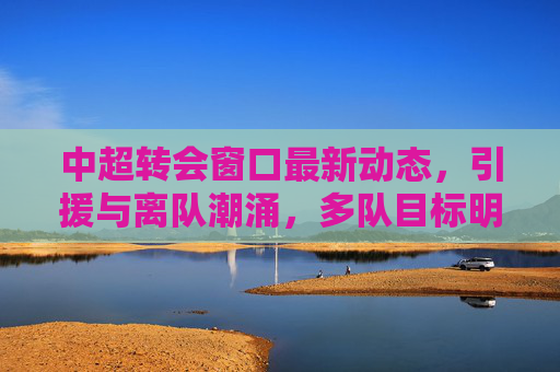 中超转会窗口最新动态,引援与离队潮涌,多队目标明确