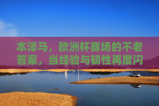 本泽马，欧洲杯赛场的不老答案，当经验与韧性再度闪耀，本泽马欧洲杯不老答案，经验韧性再度闪耀