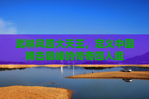 武林风四大天王,定义中国搏击巅峰的传奇四人组