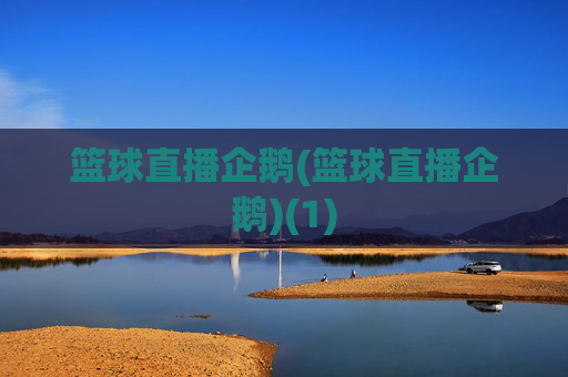 篮球直播企鹅(篮球直播企鹅)(1)