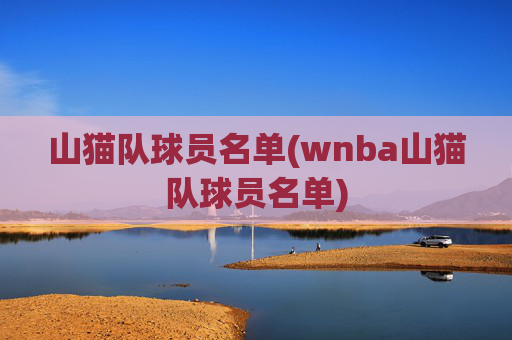 山猫队球员名单(wnba山猫队球员名单)