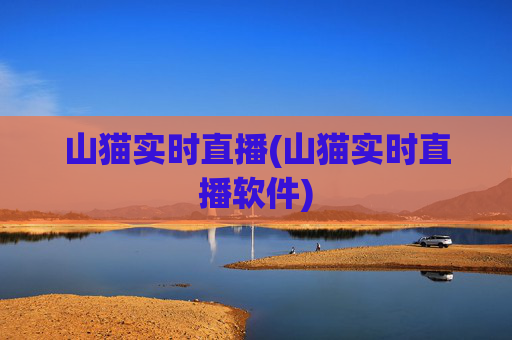 山猫实时直播(山猫实时直播软件)