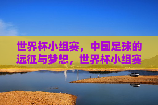 世界杯小组赛，中国足球的远征与梦想，世界杯小组赛，中国足球远征之梦
