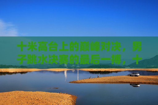 十米高台上的巅峰对决,男子跳水决赛的最后一搏,十米高台巅峰对决,男子跳水决赛最后一搏