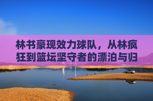 林书豪现效力球队,从林疯狂到篮坛坚守者的漂泊与归属,林书豪,林疯狂到坚守者的漂泊与归属