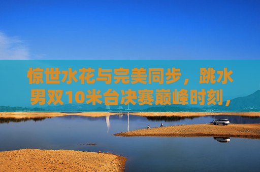 惊世水花与完美同步,跳水男双10米台决赛巅峰时刻,惊世水花与完美同步,跳水男双10米台决赛巅峰时刻