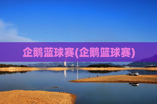企鹅蓝球赛(企鹅篮球赛)