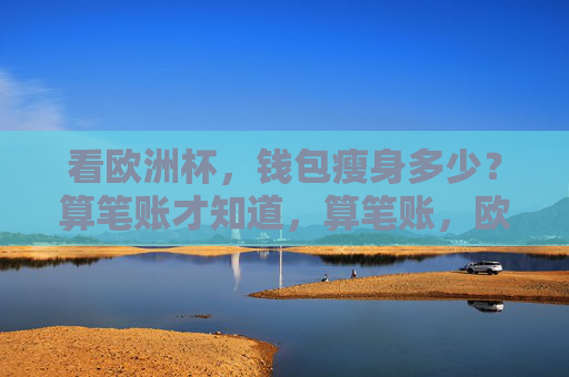 看欧洲杯，钱包瘦身多少？算笔账才知道，算笔账，欧洲杯观赛钱包瘦身多少