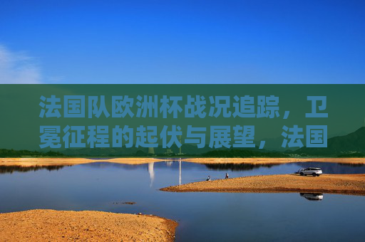 法国队欧洲杯战况追踪,卫冕征程的起伏与展望,法国队欧洲杯卫冕征程,战况起伏与展望